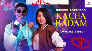 Kacha Badam Music  Lyrics – Bhuban Badyakar,Amit Dhull